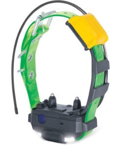 Dogtra PATHFINDER2 MINI Additional GPS Dog Tracking and Dog Training Collar - Green