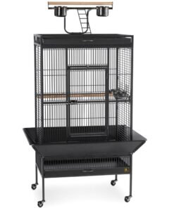 Large Select Wrought Iron Play Top Bird Cage - Black
