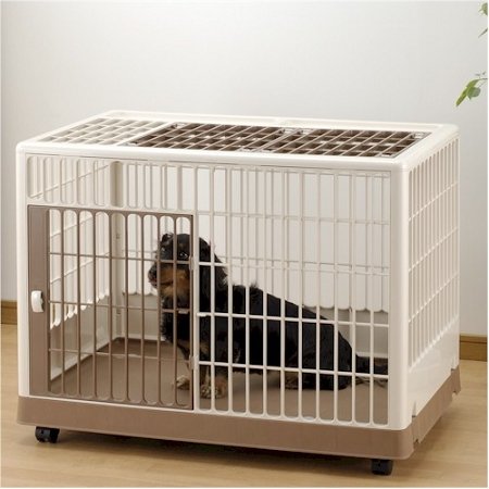 Pet-Training-Crate-Small