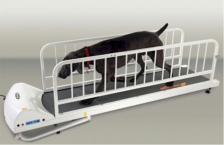 PetRun-PR725-Dog-Treadmill