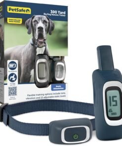 PetSafe 300 Yard Remote Trainer - PDT00-16117