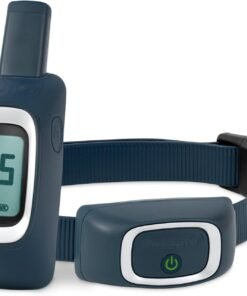 PetSafe 600 Yard Lite Remote Trainer