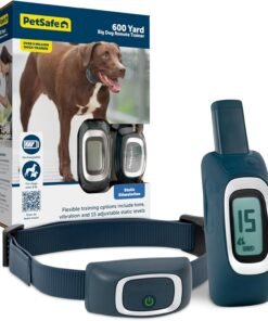 PetSafe 600 Yard Remote Trainer - PDT00-16120