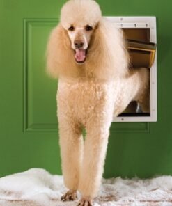 PetSafe Extreme Weather Pet Door - Large