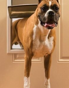 PetSafe Freedom Pet Door - Large