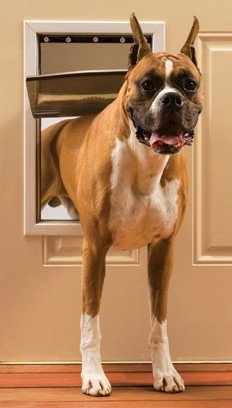 PetSafe-Freedom-Pet-Door-Large