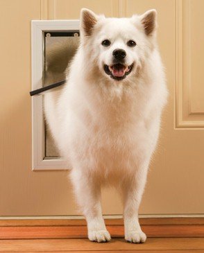PetSafe-Freedom-Pet-Door-Medium-PPA00-10860