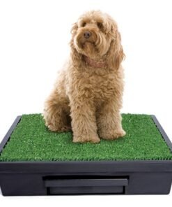 PetSafe Pet Loo Dog Potty Training System - Large - PWM00-14499