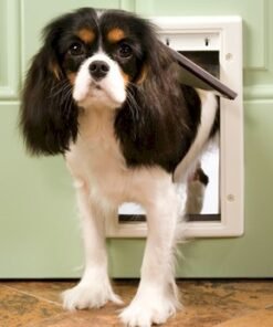 PetSafe Plastic Dog Door - Small - PPA00-10958