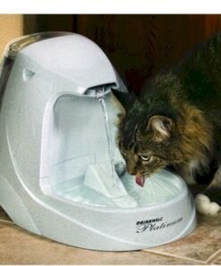 PetSafe Platinum Pet Fountain - PWW00-13703
