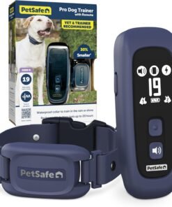 PetSafe Pro Dog Trainer with Remote