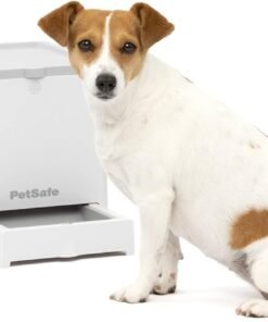 PetSafe Teach & Treat Remote Reward Trainer
