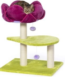Prevue Pet Products Flower Power