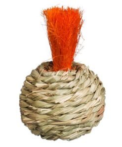 Prevue Pet Products Grassy Nibblers Squash - 1080