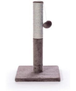 Prevue Pet Products Kitty Power Paws Play & Scratch