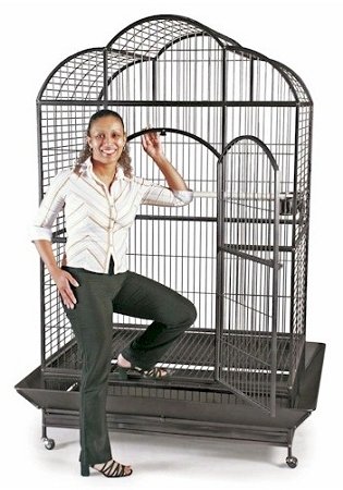 Silverado-Macaw-Dome-Top-Cage