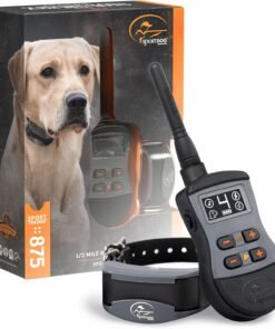 SportDOG Brand SportTrainer 1/2 Mile