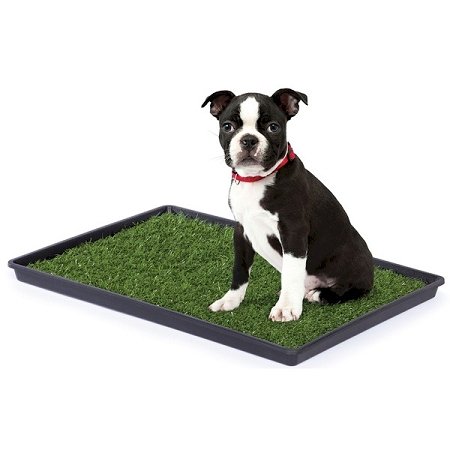 Tinkle-Turf-Small